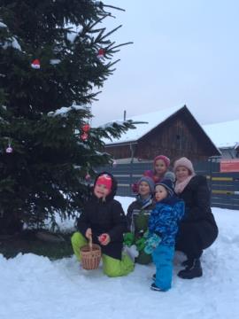 Božično  drevo želja